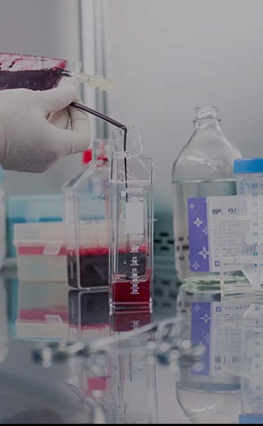 Why Choose Haipu Resins