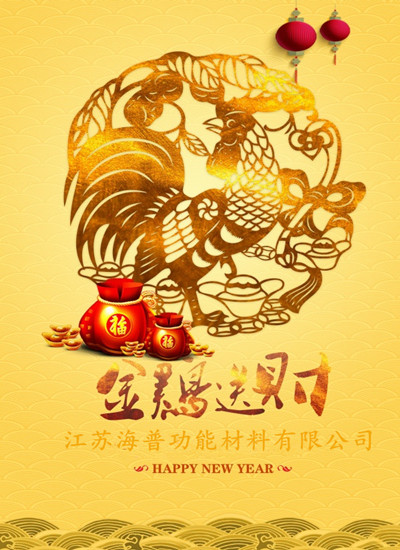 Grateful for Your Accompaniment, Together in 2017