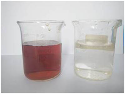 Raw water (left) and treated water (right) Raw water (left) and treated water (right)