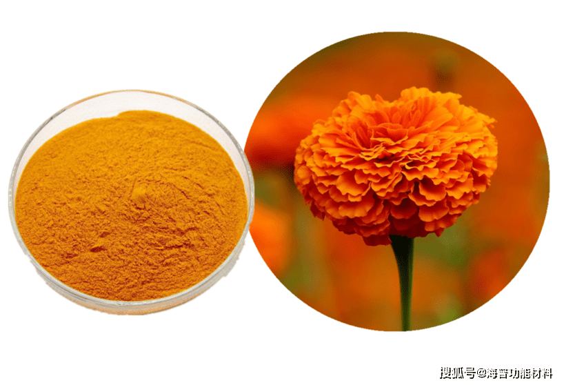 Marigold Extract - Lutein Plant Extract Resin Marigold Extract - Lutein Plant Extract Resin