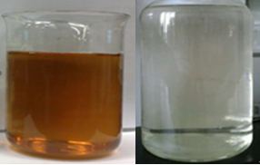 Raw water (left) and effluent (right)