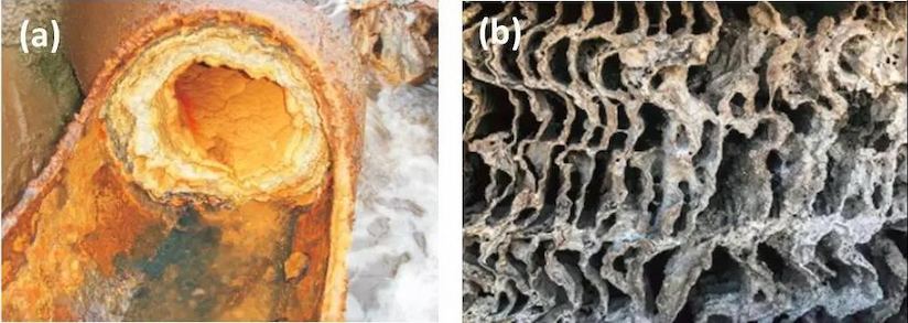 Pipeline scaling (a) and membrane fouling (b)