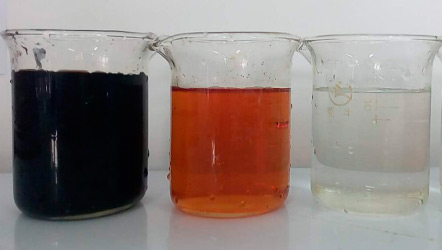 Appearance of Raw Water (left), Pre treated Water (middle), and Adsorbed Water (right) Appearance of Raw Water (left), Pre treated Water (middle), and Adsorbed Water (right)