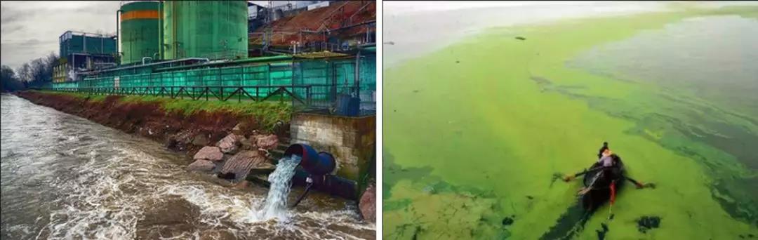 Phosphorus containing wastewater discharge and eutrophication of water bodies