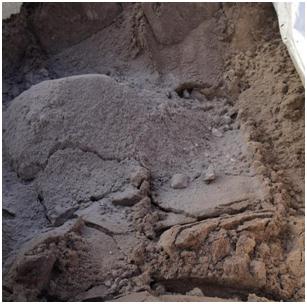 Salt steaming effect before (left) and after (right) on-site renovation Salt steaming effect before (left) and after (right) on-site renovation