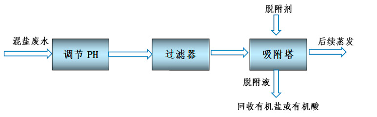 High salt wastewater treatment process