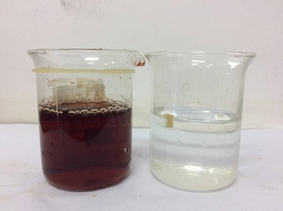 Treatment effect (raw water, effluent)