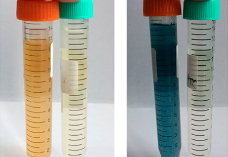 1 # (raw water, effluent) 2 # (raw water, effluent) 1 # (raw water, effluent) 2 # (raw water, effluent)