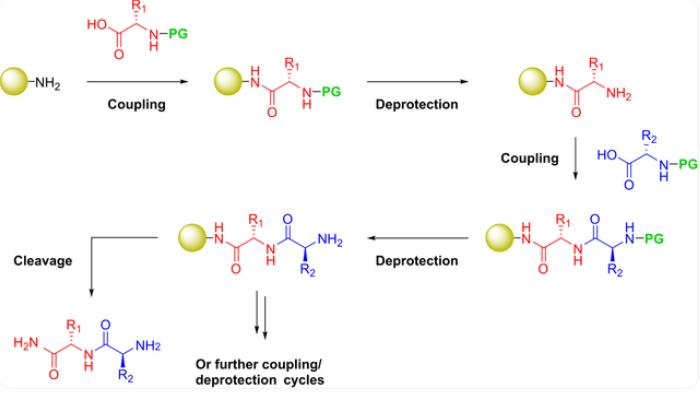 Peptide Solid-Phase Synthesis Carrier Resin Material