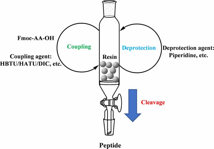 Solid Phase Synthesis Carrier for GLP-1 Peptide Drugs Solid Phase Synthesis Carrier for GLP-1 Peptide Drugs