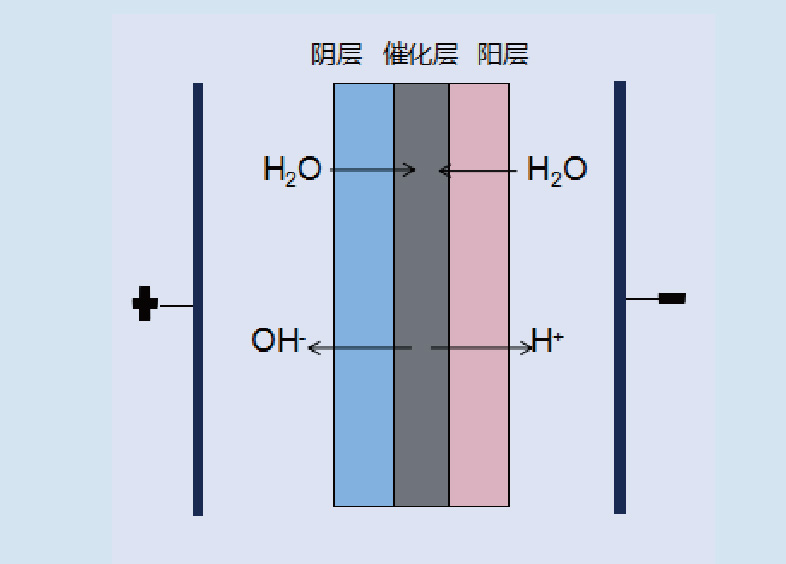 Bipolar membrane structure diagram